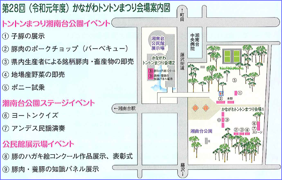 令和元年｜トントンまつり